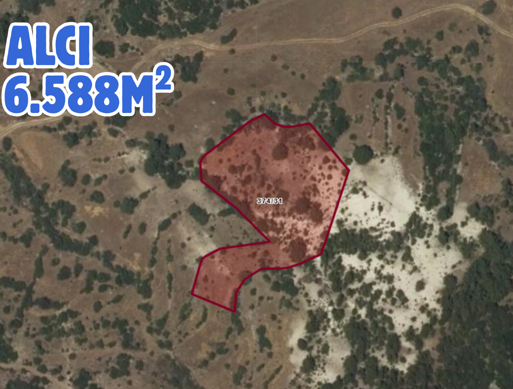 Fotoğraf